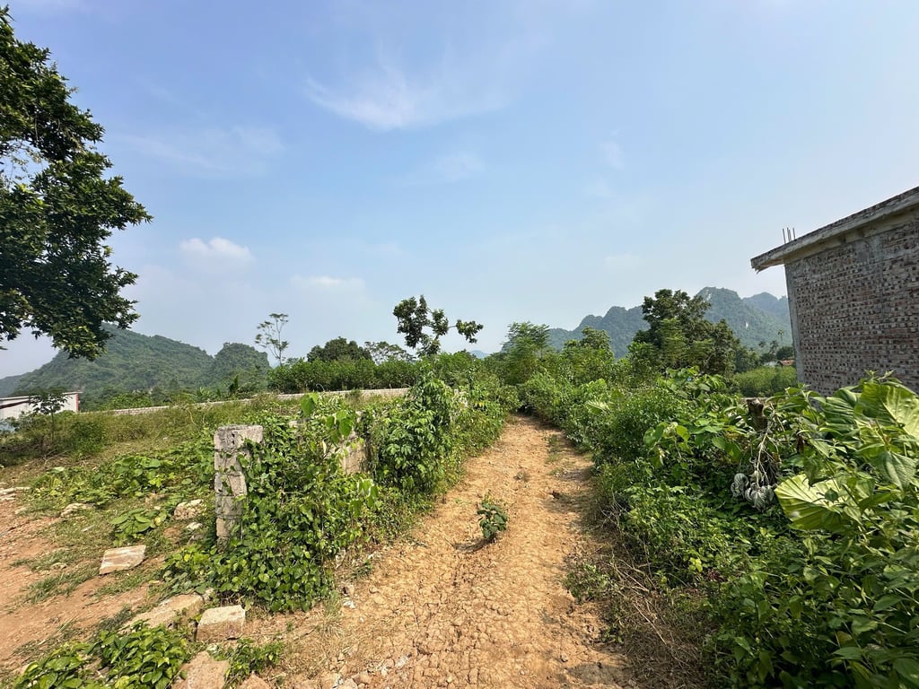 2144m2 có 1900m2 ONT tại Lương Sơn, Hoà Bình