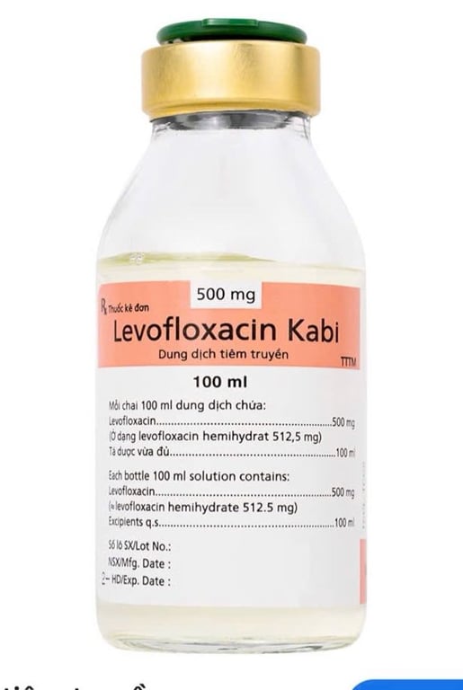 Levofloxacin 100ml kabi