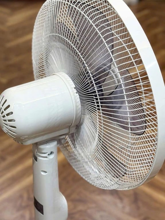 Quạt cây 2Lock🧸nội địa Hàn