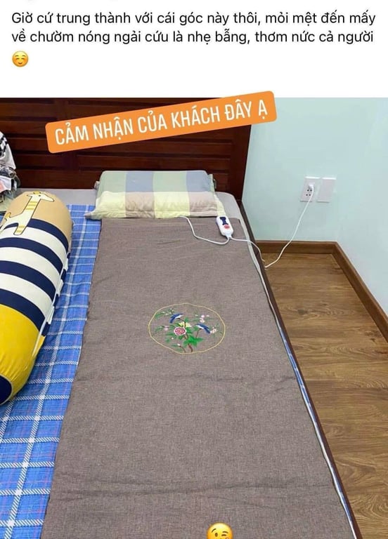 Thảm ngải cứu 🤗