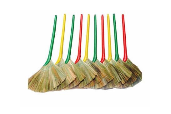 Cây chổi bông sậy