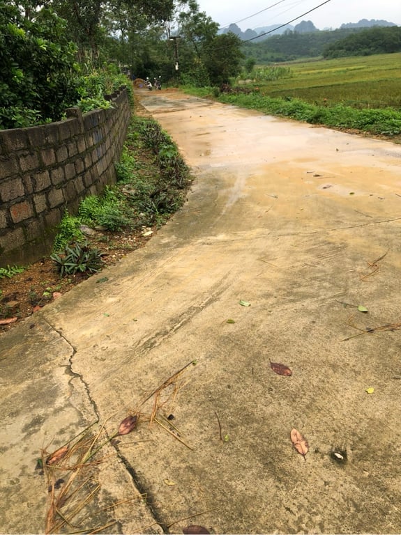 Đất Thanh Cao, Lương Sơn, Hoà Bình 154m2 full thổ cư.