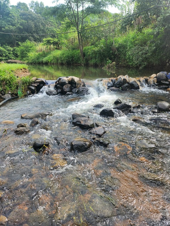 Đất đẹp bên suối tại Thạch Yên, Cao Phong, Hòa Bình (1500m2).