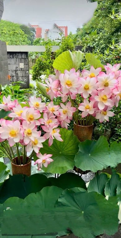 Bình loa kèn Bát Tràng cao 32cm