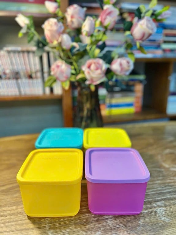 Set 10 hộp Tupper ware ngăn mát cao cấp TUP10