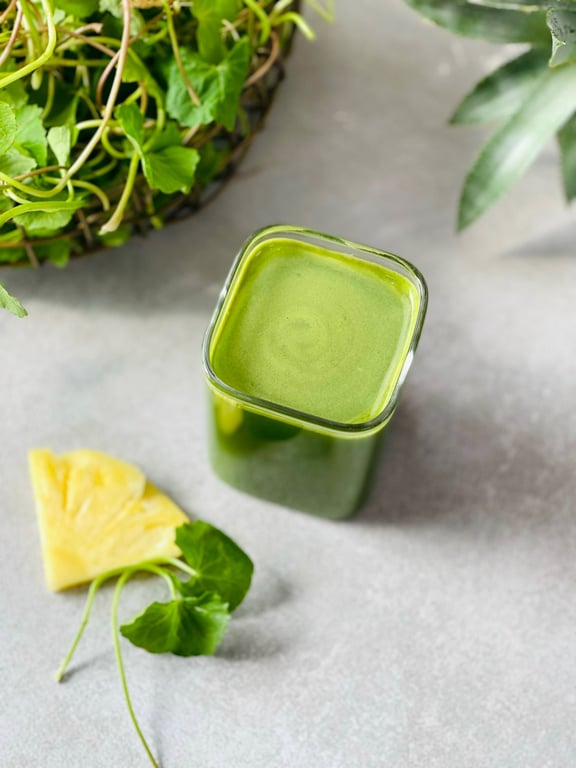 Máy ép chậm Olivo SJ240 -