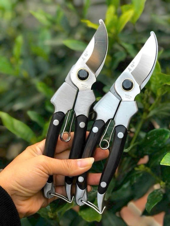 Kéo cắt cành japan