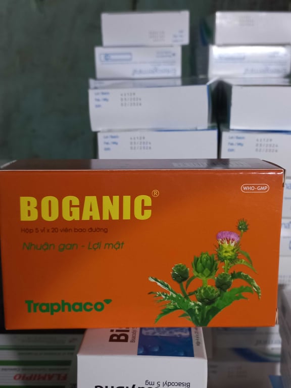 Boganic bao đường h/100v