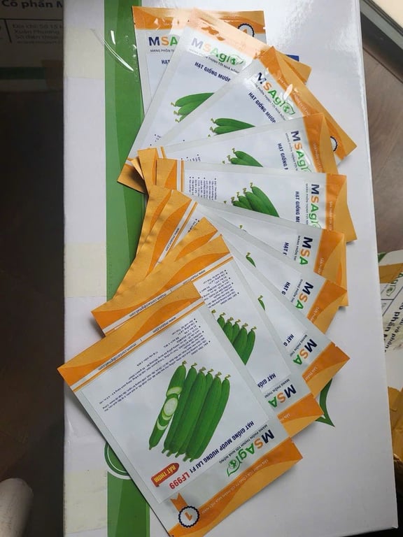 Mướp hương Siêu Năng suất lại còn THƠM  lai F1 LF999