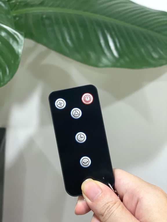 Quạt cây 5 cánh Lebenlang LBL1863 có điều khiển - Thương hiệu Đức