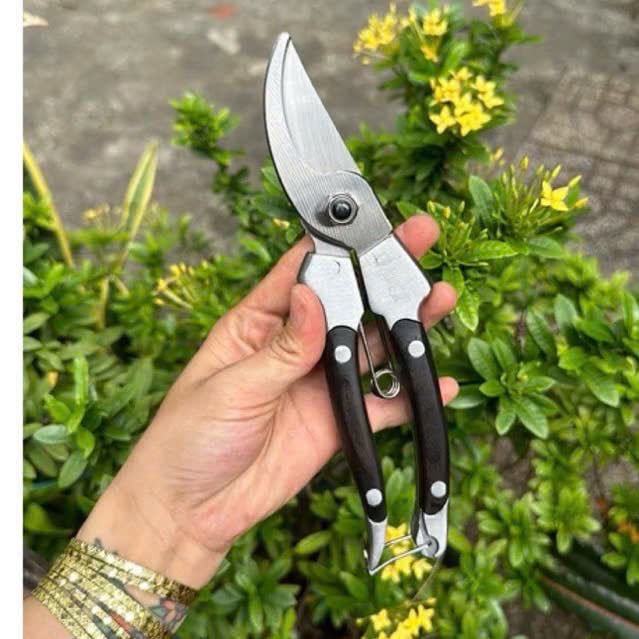 Kéo cắt cành japan