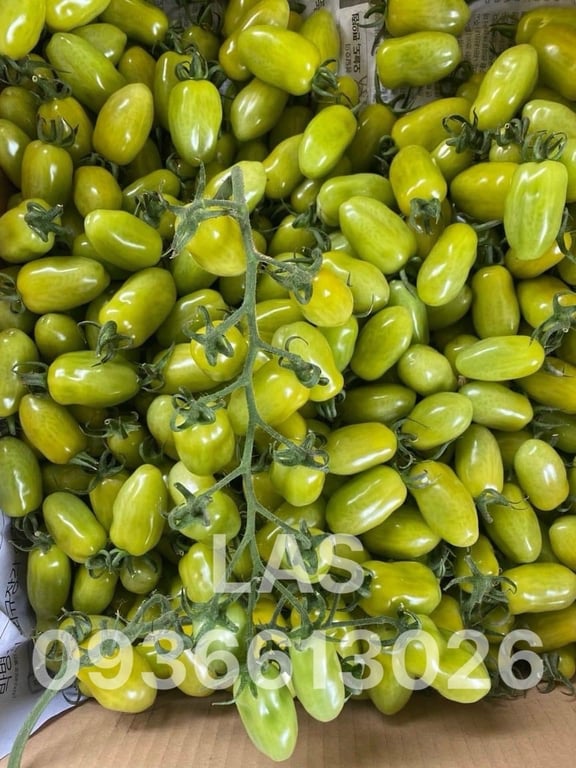 CÀ CHERRY NGỌC BÍCH