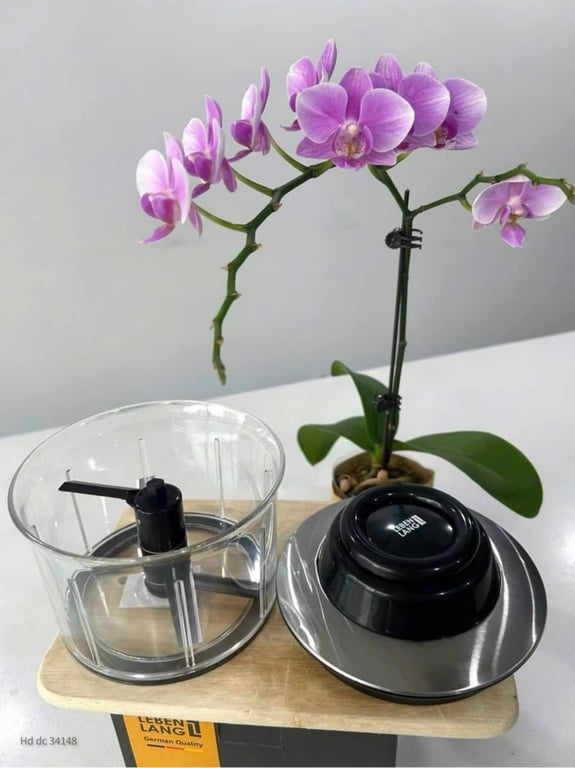 Dụng Cụ Xay Nhỏ Thực Phẩm Lebenlang 800ml