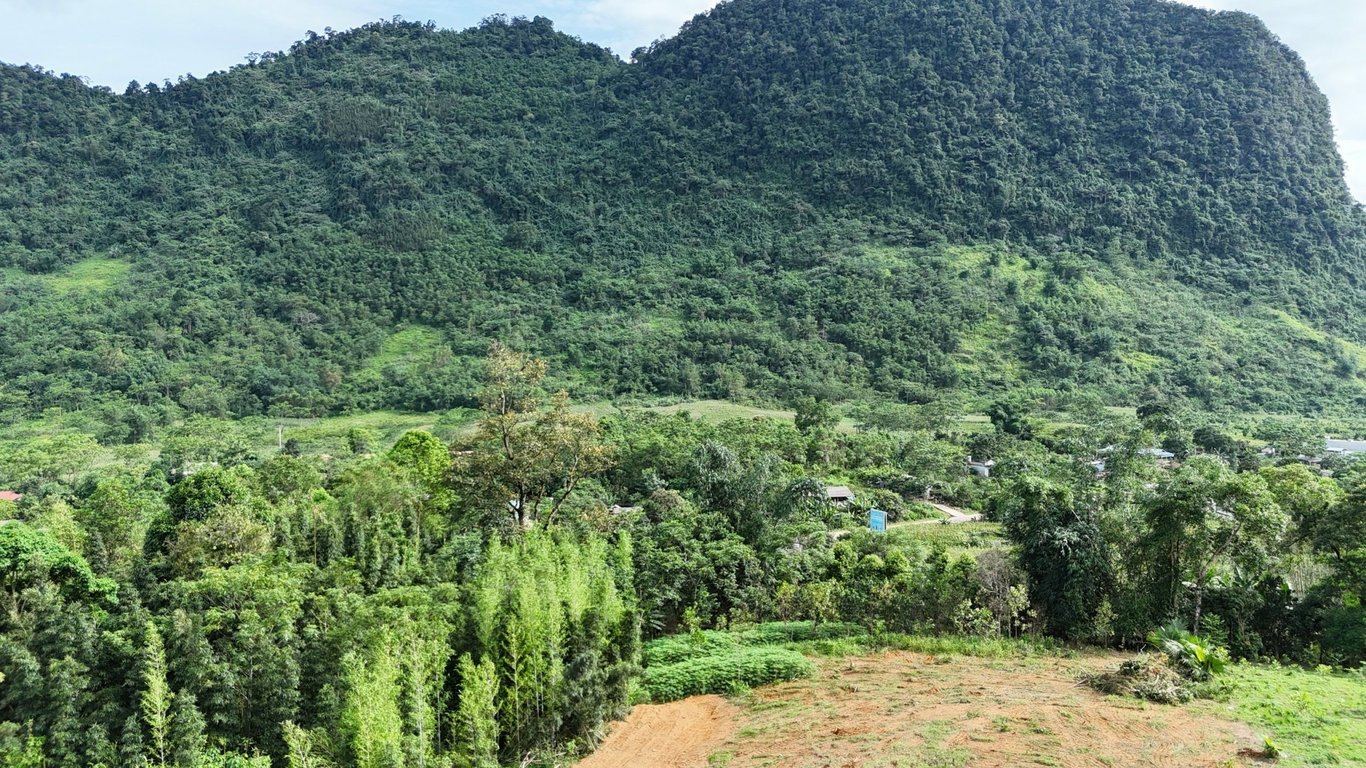 1100m2- 100m2 ONT Tại Đà Bắc, Hòa Bình