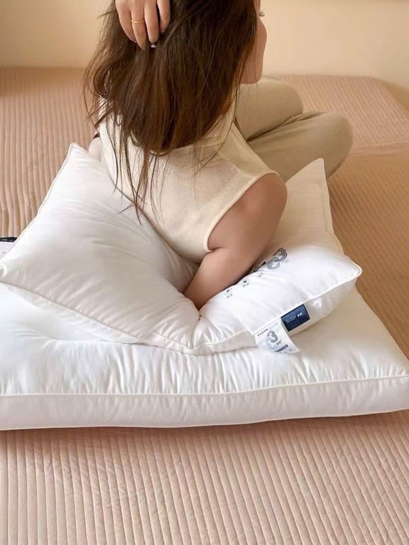 RUỘT GỐI CHỐNG THẤM