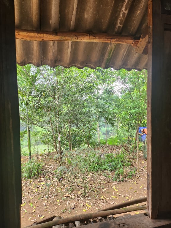 Gần 1800m2, 400m2 ONT tại Thạch Yên, Cao Phong, Hoà Bình