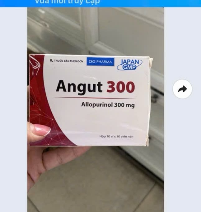 Angut 300 hg h/100v