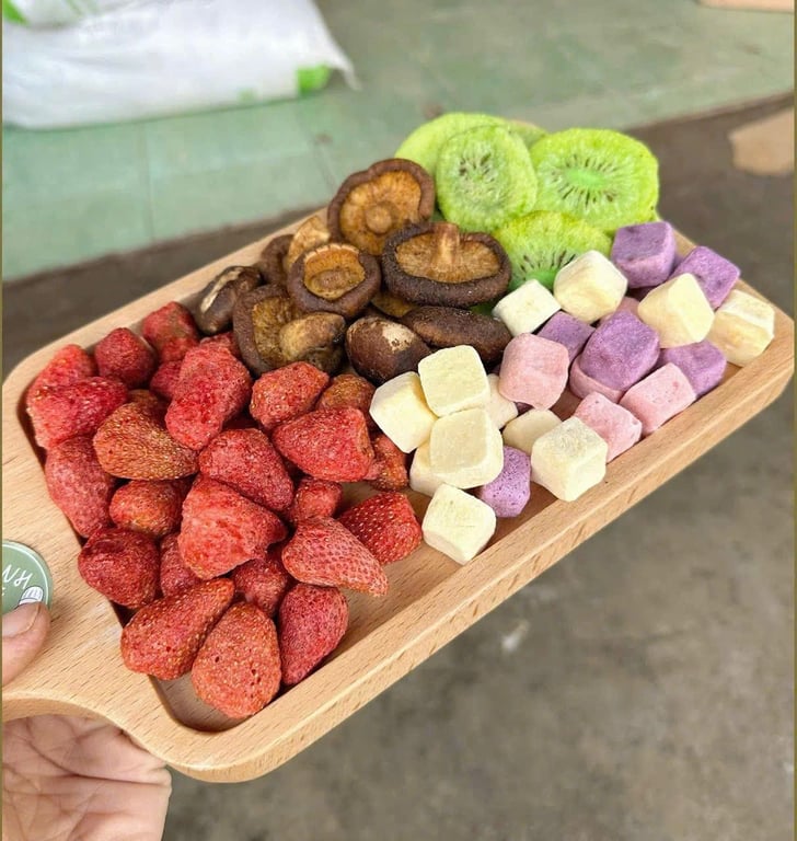 𝐇𝐎𝐀 𝐐𝐔𝐀̉ 𝐒𝐀̂́𝐘 𝐓𝐇𝐔̛𝐎̛̣𝐍𝐆 𝐇𝐀̣𝐍𝐆 MCC21 300gr