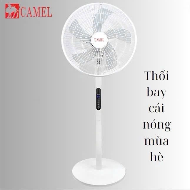 Quạt cây Camel
