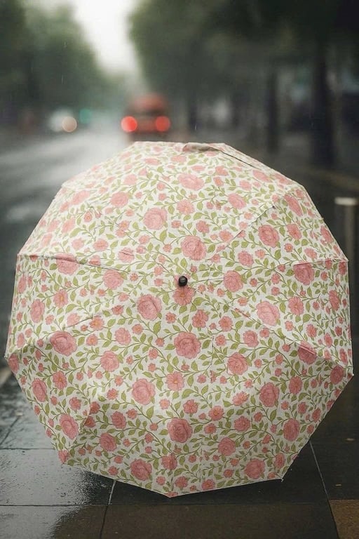 Chiếc ô quốc dân Tewa Japan 24 nan