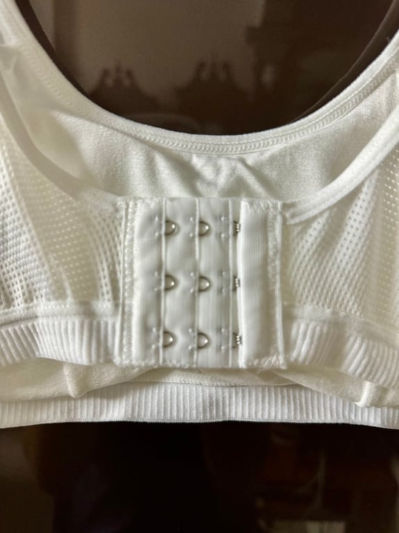 SET 3 ÁO LÁ HỌC SINH ĐỆM NGỰC THÔNG HƠi 💕