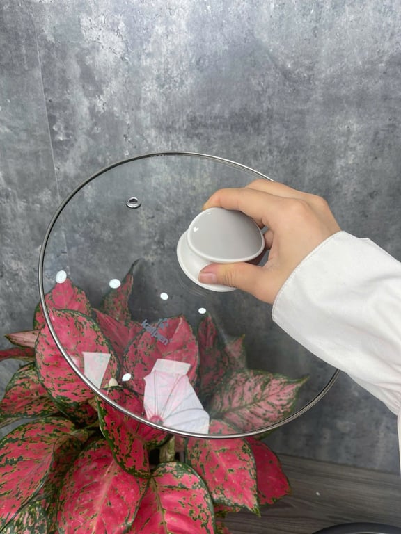 NỒI LẨU ĐIỆN KALPEN P22 DUNG TÍCH 5L