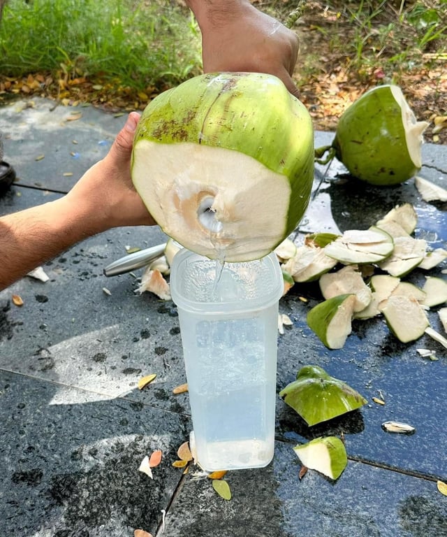 💦 💦 💦 BÌNH SLIM LINE 2L TUPPERWARE