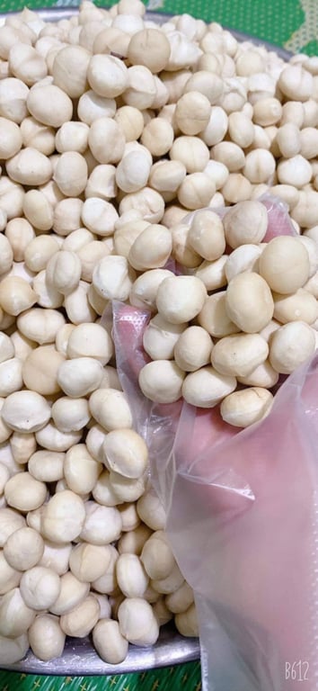 Macca sấy khô nứt vỏ gói 0.5kg