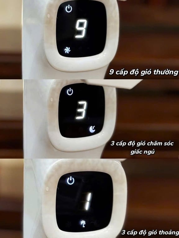 Quạt cây 2Lock🧸nội địa Hàn