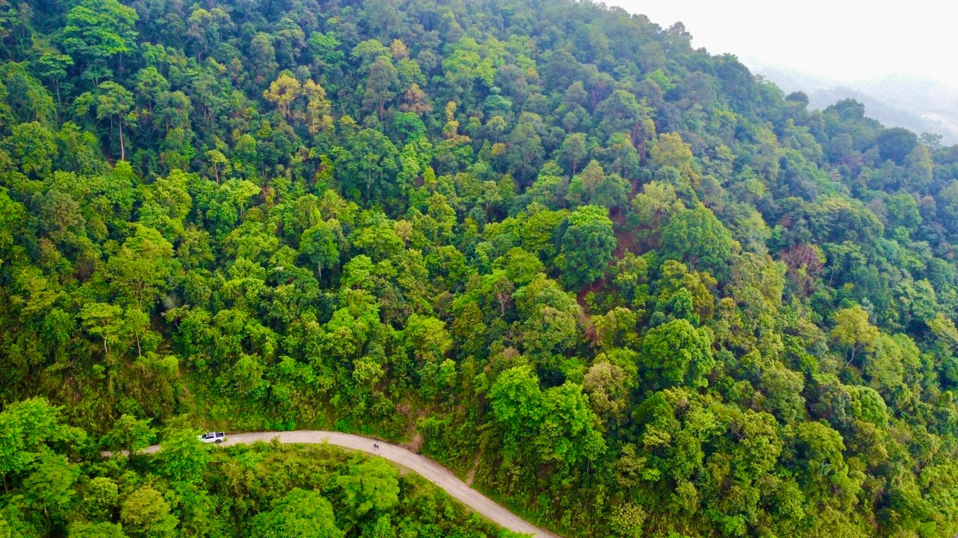 1256m2 đất rừng sản xuất tại Bản Mừng- Cao Phong- Hoà Bình