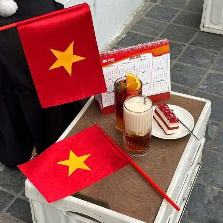 Set 10 Cờ vẫy tay Quốc kỳ Việt Nam