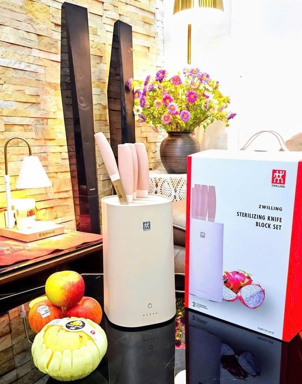 Bộ 6 dao kèm hộp tiệt trùng Zwilling chính hãng