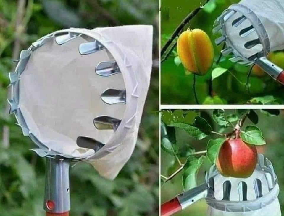 Vợt Hái Trái Cây Đa Năng Tiện Dụng