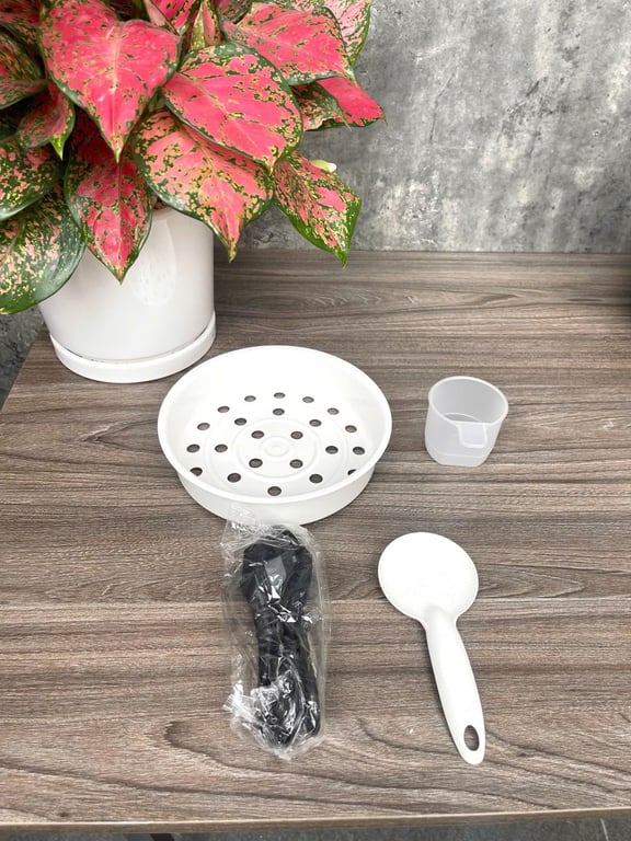 NỒI CƠM ĐIỆN KALPEN R11 DUNG TÍCH 1L