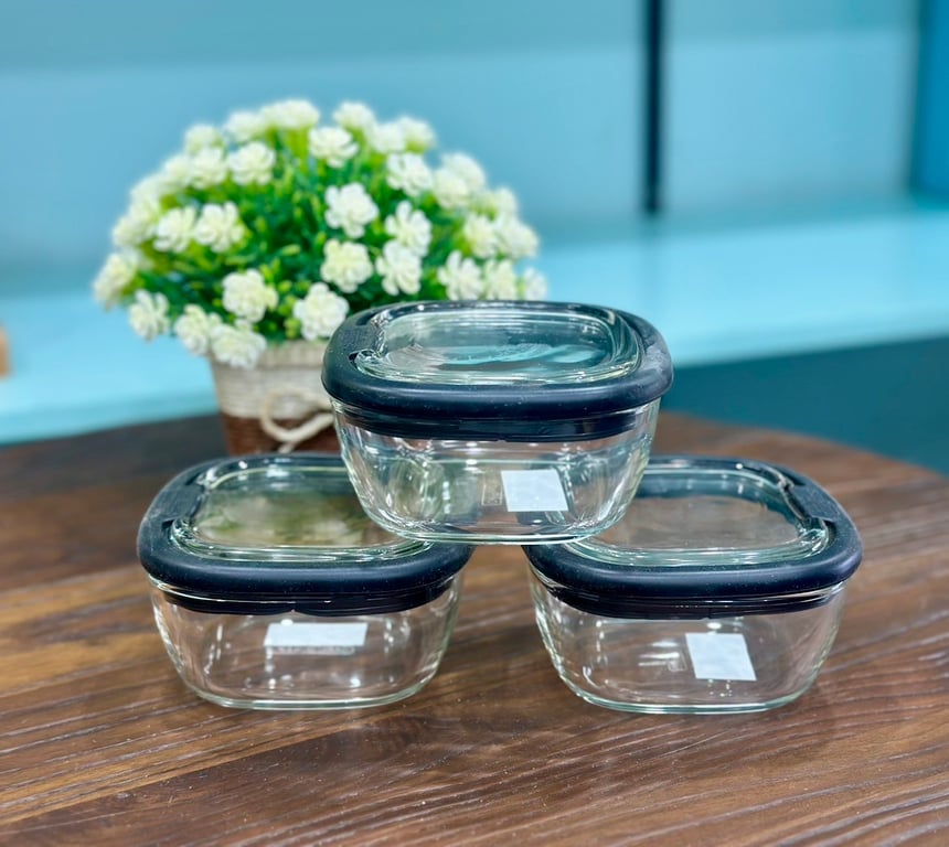 Set 2 Hộp thủy tinh nắp thủy tinh Lock&lock Oven Glass Line 300ml LLG950