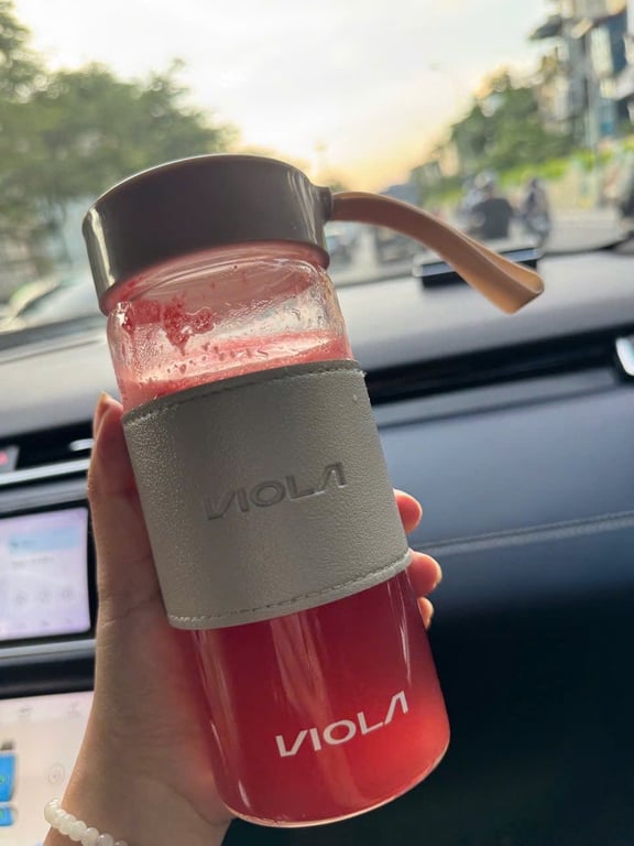 Set 4 Bình Thủy Tinh VIOLA 500ml