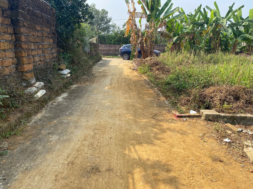 80.6m2 Tân Xã, Thạch Thất, Hòa Lạc. Sẵn 60m2 thổ cư, còn lại đất CLN