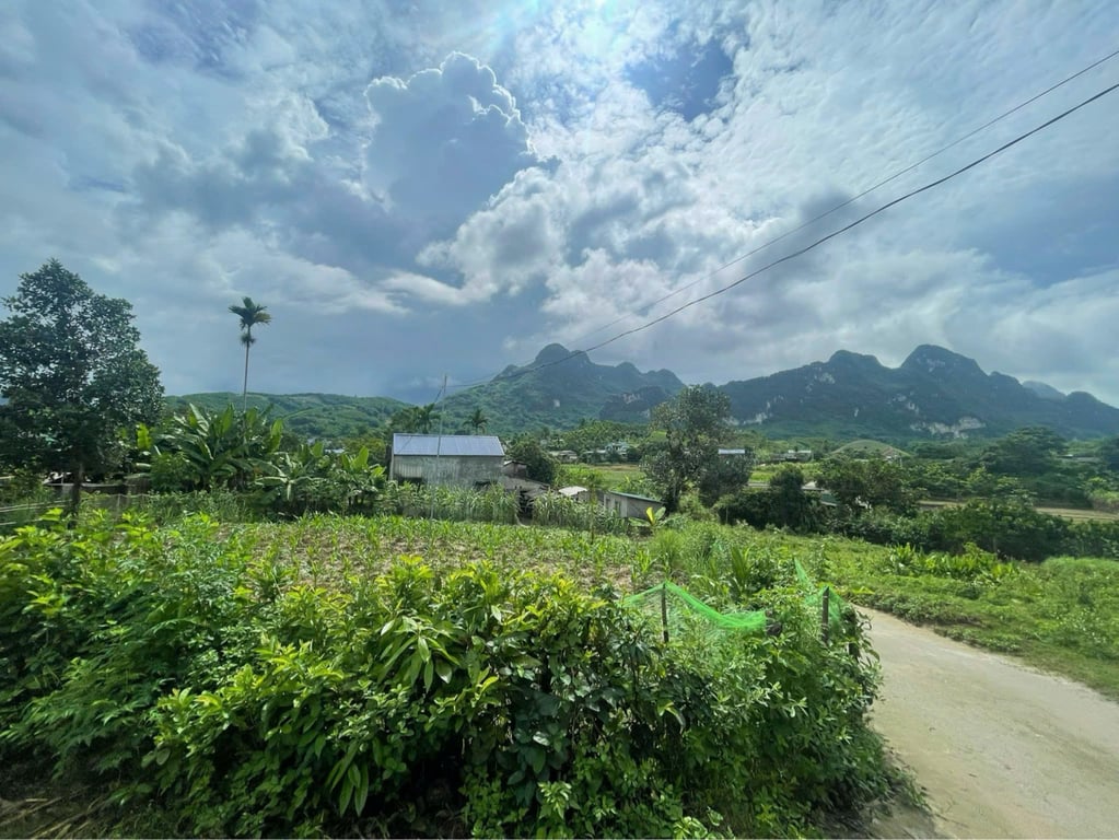 Lô góc 2 mặt đường tại Bắc Phong, Cao Phong 360m2 trong đó có 340m2 thổ cư