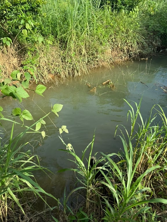 Hơn 3000m2 có 200m2 thổ cư tại thị trấn Mãn Đức, Tân Lạc, Hoà Bình