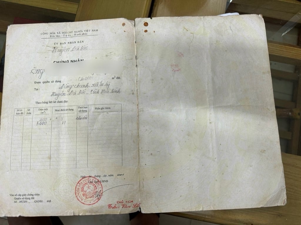 Tú Lý, Đà Bắc, Hoà Bình(1195m2)