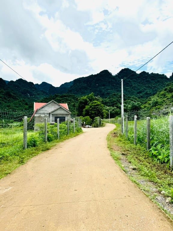 ~ 1400m2 có 200m2 ONT tại Mỹ Hòa, Tân Lạc, Hòa Bình