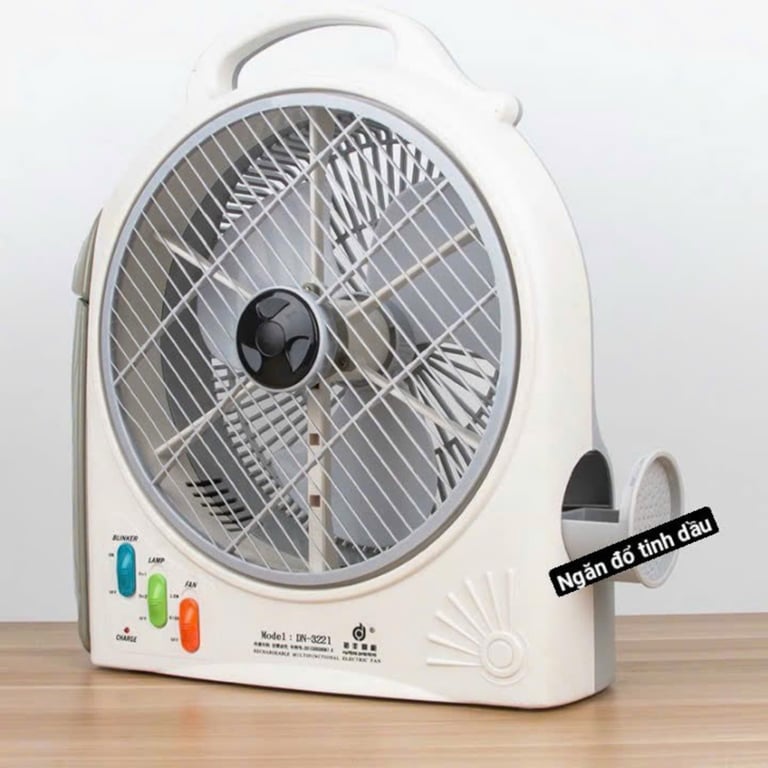 𝗤𝘂𝗮̣𝘁 𝘀𝗮̣𝗰 𝘁𝗶́𝗰𝗵 𝗱𝗶𝗲̣̂𝗻 𝗗𝗡- 𝟯𝟮𝟮𝟭