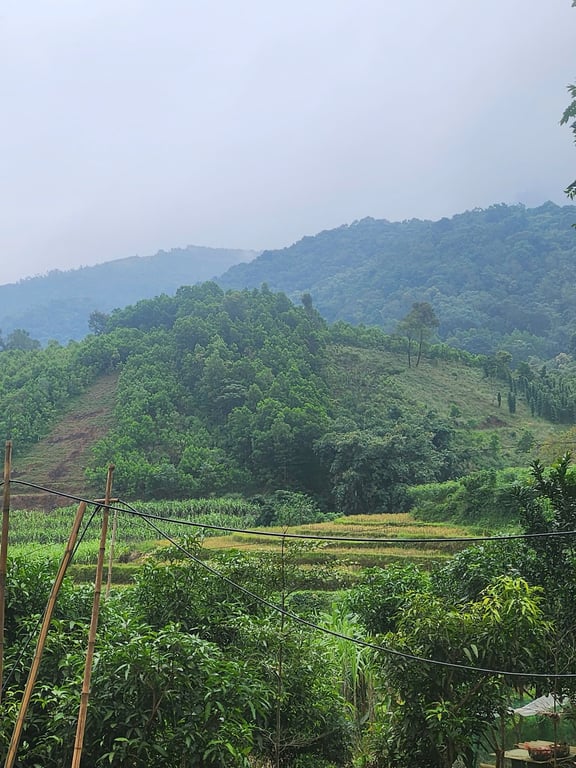 Thạch Yên, Cao Phong, Hoà Bình,thực tế sử dụng 1200m2, sổ 900m2, 200m2 thổ cư