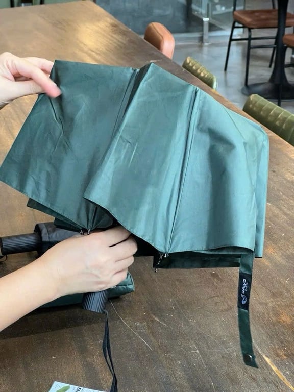 Ô gấp tự động 2 chiều 10 nan kaiyo