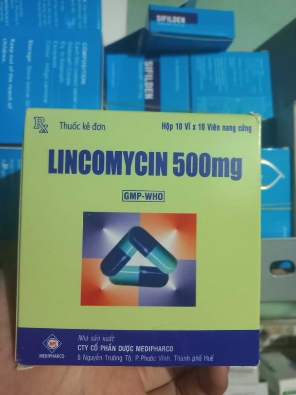 Linco 500 medi h100v
