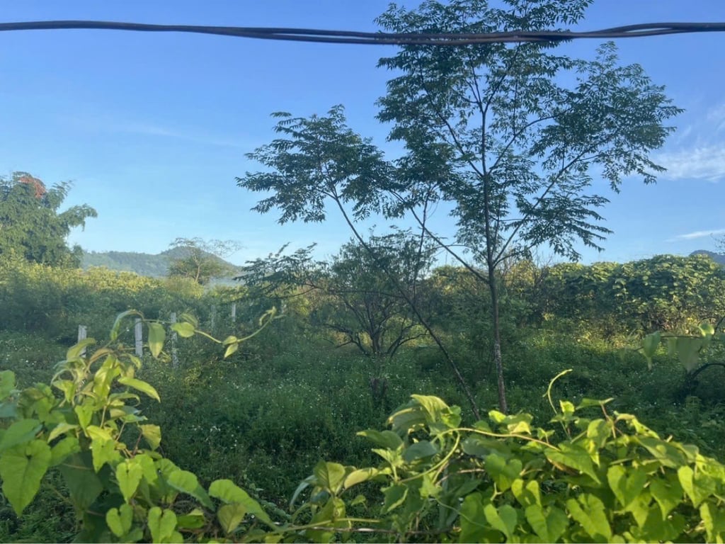 2020m2, sẵn 100m2 thổ cư tại Bắc Phong, Cao Phong, Hoà Bình