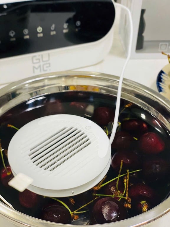 Máy khử khuẩn thực phẩm Gume