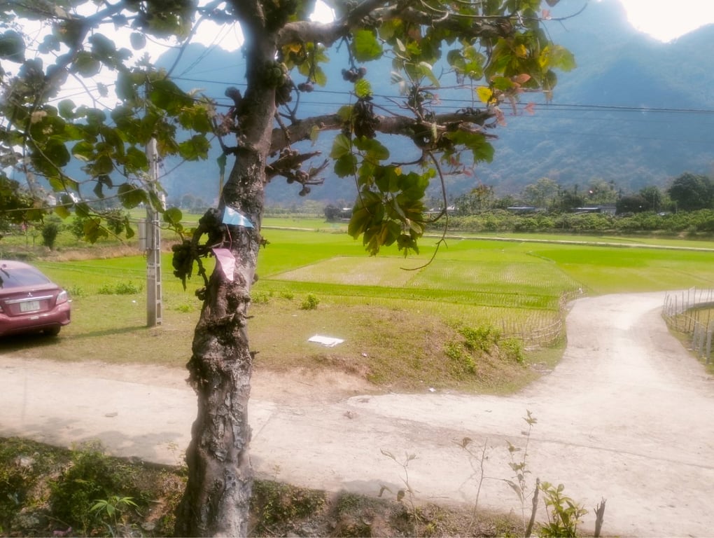 Lô góc hai mặt tiền siêu đẹp hơn 1000m2 có 700m2 thổ cư tại Kim Bôi, Hoà Bình