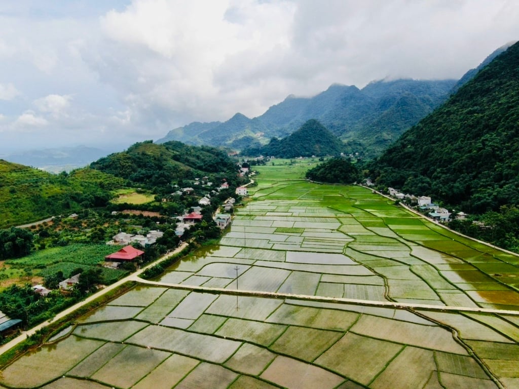 333m2 có 100m2 ONT Tại Phú Cường Tân Lạc, Hòa Bình chỉ 499tr