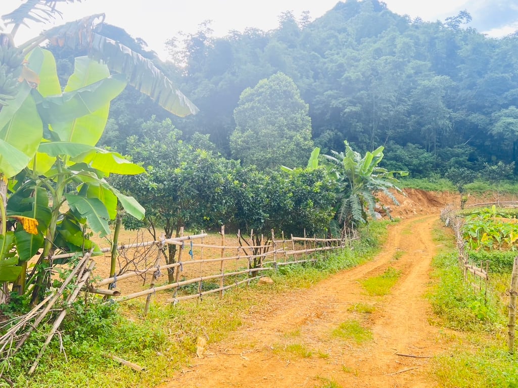 1500m2-200m2 ONT tại Phú Cường, Tân Lạc, Hoà Bình